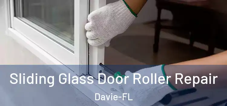 Sliding Glass Door Roller Repair Davie-FL